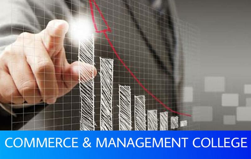 Commerce & Management